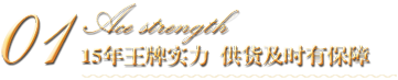 15年王牌實(shí)力