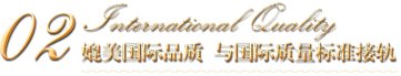 國際質(zhì)量標(biāo)準(zhǔn)